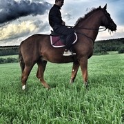 ���������� ����, ���� ������� ����, 30 ���, ������������ ��� ������, ����� � ���������, c�������� ���������