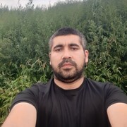 ���������� ������, ���� ������� Nizom, 36 ���, ������������ ��� ����� � ���������, c�������� ���������