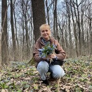 ���������� �������, ���� ������� �������, 55 ���, ������������ ��� ������, ����� � ���������