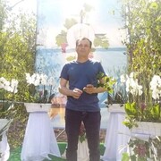  ,   Nicu, 54 ,   ,   , c , 