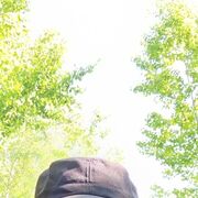 ���������� ������������, ���� ������� ������, 37 ���, ������������ ��� c�������� ���������