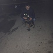  ,   , 38 ,  