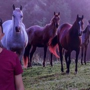  ,   , 42 ,   