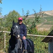 ���������� ����������, ���� ������� ����������, 44 ����, ������������ ��� ������, ����� � ���������