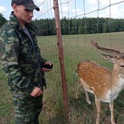 ���������� �����, ���� ������� ������, 37 ���, ������������ ��� ������, ����� � ���������