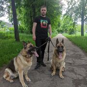 ���������� ������, ���� ������� �������, 41 ���, ������������ ��� ������, ����� � ���������