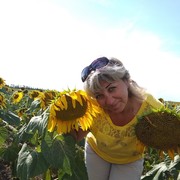  ,   , 49 ,  