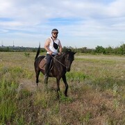 ���������� ����� �������, ������� ����������, 37