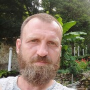  ,   , 41 ,   ,   