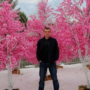  ,   , 53 ,   ,   