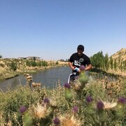 ���������� �������, ���� ������� ��������, 29 ���, ������������ ��� ������, ����� � ���������