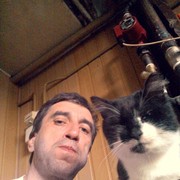 ���������� �������, ���� ������� ������, 55 ���, ������������ ��� ������, ����� � ���������, c�������� ���������