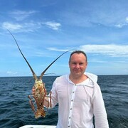 ���������� ������������, ���� ������� ������, 40 ���, ������������ ��� ������, ����� � ���������, ���������