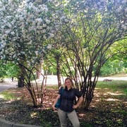 ���������� ����, ���� ������� ��������, 44 ����, ������������ ��� ������, ����� � ���������, c�������� ���������