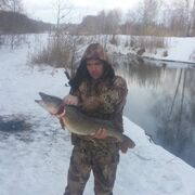 ���������� ������, ���� ������� ������, 44 ����, ������������ ��� ������, ����� � ���������, c�������� ���������