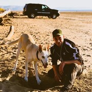 ���������� ��������, ���� ������� �����, 35 ���, ������������ ��� ������, ����� � ���������