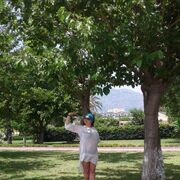  ,   , 56 ,     , c , 