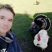 ���������� ������, ���� ������� �����, 36 ���, ������������ ��� ���������