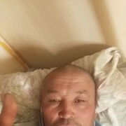  ,   , 51 ,   ,   