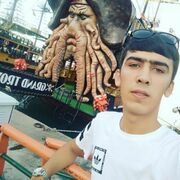  ,   Bek, 31 ,     , 