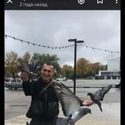   ,  Artek, 41