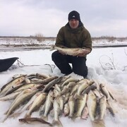 ���������� ���������, ���� ������� Nikita, 33 ����, ������������ ��� ������, ����� � ���������, c�������� ���������