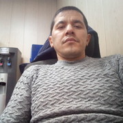  -,   , 41 ,  