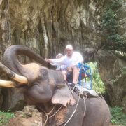 ���������� �����������, ���� ������� �����, 41 ���, ������������ ��� ������, ����� � ���������, c�������� ���������