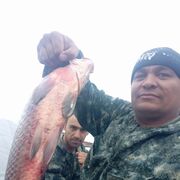 ���������� �����������, ���� ������� ��������, 40 ���, ������������ ��� ������, ����� � ���������