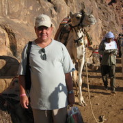  ,   , 62 ,  