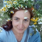 ���������� �����������, ���� ������� ������, 49 ���, ������������ ��� ���������