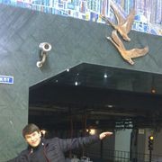  ,   PLUT, 46 ,   ,   , c 