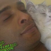  ,   Hanykhalifa, 48 ,   ,   