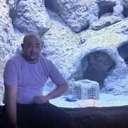  ,   , 41 ,     , c 