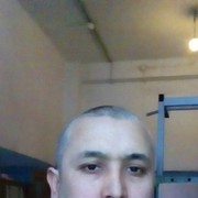  -,   , 41 ,  