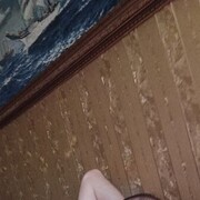 ,   , 44 ,   ,   