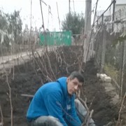  ,    , 51 ,  