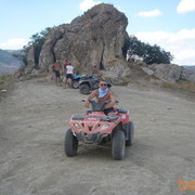  ,   Vetal, 43 ,   ,   , c 