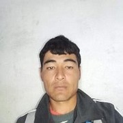 ���������� ������, ���� ������� ����������, 33 ����, ������������ ��� ������, ���������