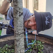 ���������� ���������������, ���� ������� ������ ����, 35 ���, ������������ ��� ������, ����� � ���������