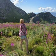 ���������� ������, ���� ������� ������, 39 ���, ������������ ��� ������, ����� � ���������