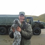 ���������� ����-���������, ���� ������� �������, 37 ���, ������������ ��� ������, ����� � ���������, c�������� ���������