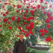  ,   , 61 ,     , c 