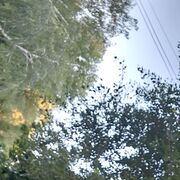  ,   , 50 ,   ,   