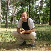  ,   , 44 ,  
