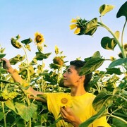 ���������� ������, ���� ����� ������, 20 ���, ������������ ��� ����� � ���������, c�������� ���������, ���������