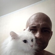 ���������� ������������, ���� ������� ���������, 43 ����, ������������ ��� ������, ����� � ���������, c�������� ���������