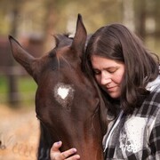  ,   , 36 ,     , c , 