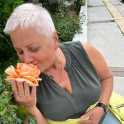   ,   , 62 ,   