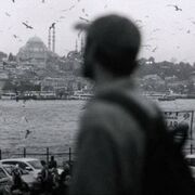 ���������� �������, ���� ������� ������, 29 ���, ������������ ��� ������, ����� � ���������